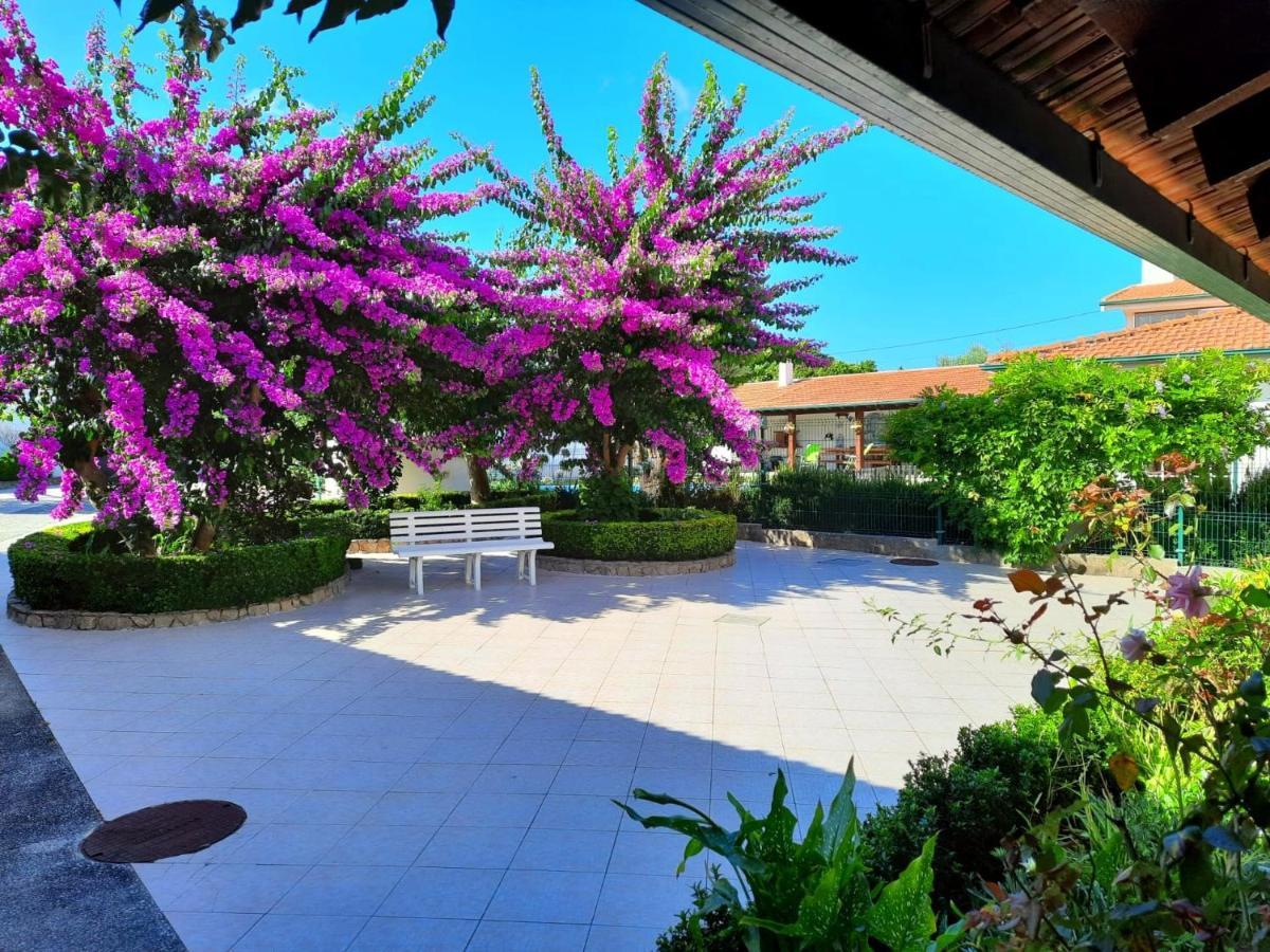 Willa Qm - Quinta Da Morgadinha - Casa Em Quinta Rural Cabecos Zewnętrze zdjęcie