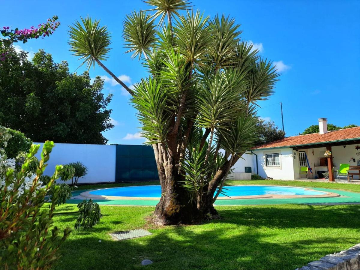 Willa Qm - Quinta Da Morgadinha - Casa Em Quinta Rural Cabecos Zewnętrze zdjęcie