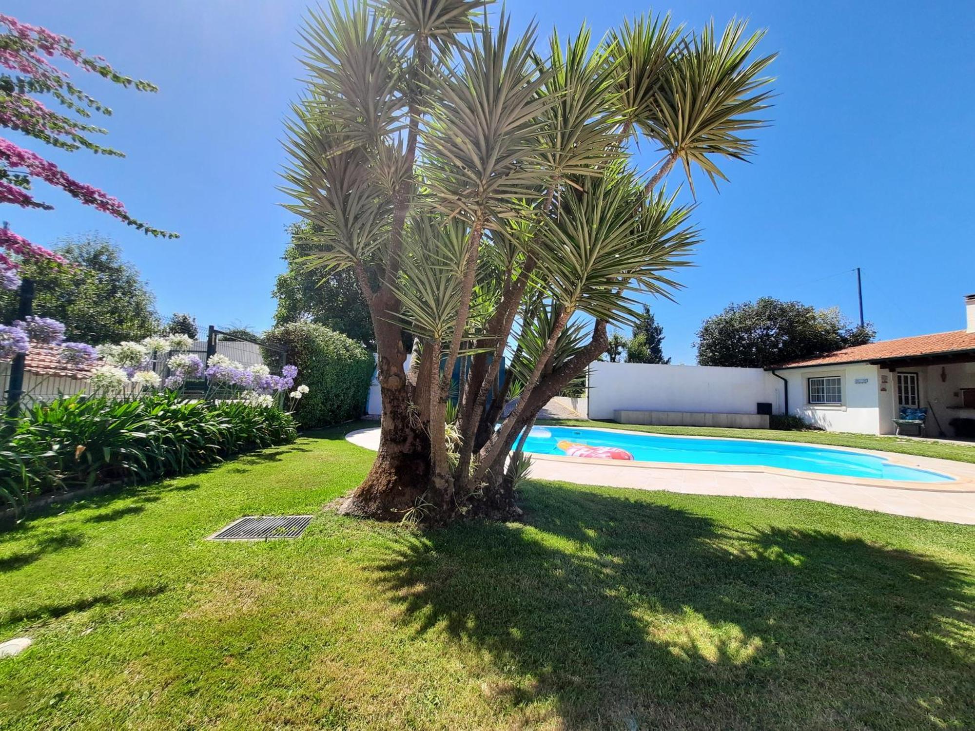 Willa Qm - Quinta Da Morgadinha - Casa Em Quinta Rural Cabecos Zewnętrze zdjęcie